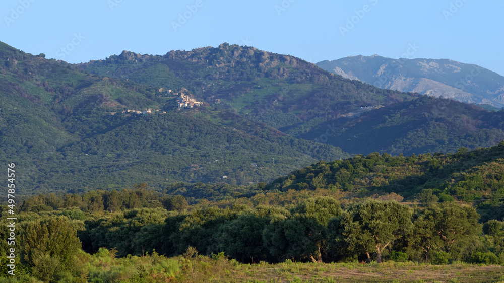 Mountain and Linguizetta vineyards in eastern plain of Corsica