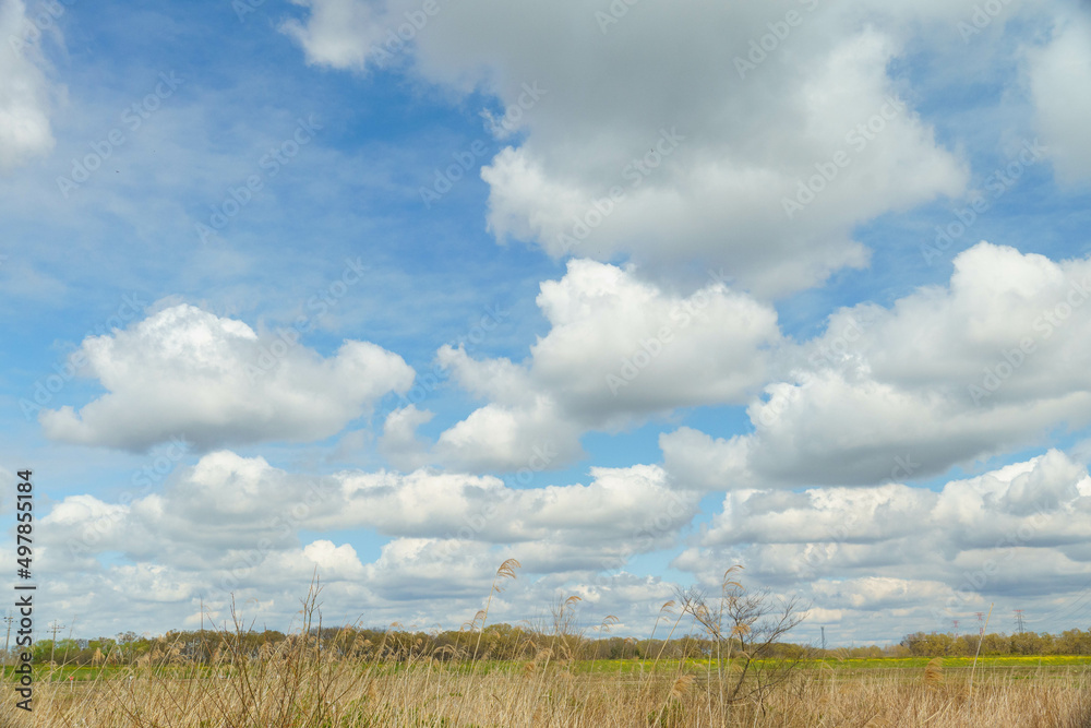 青空にフワフワとした白い雲 青空にフワフワとした白い雲