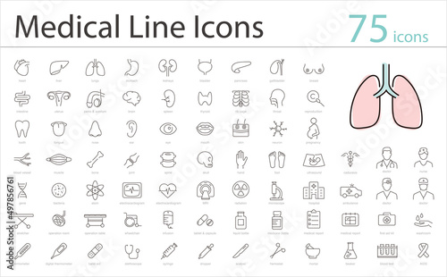 Human Organs icon set, medical icons, vector illustration