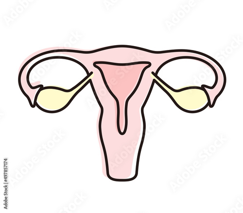 Woman uterus icon, vector illustration