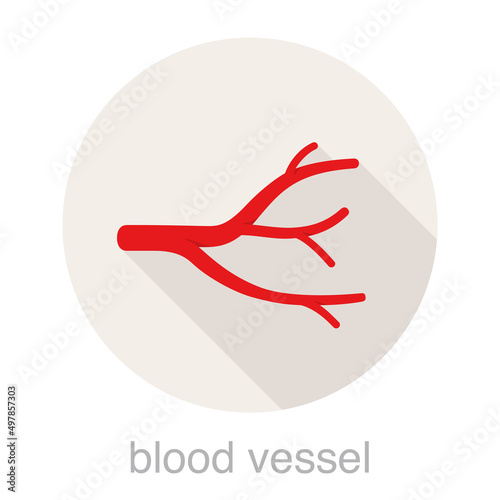 Human blood vessel flat design icon, vector illustration