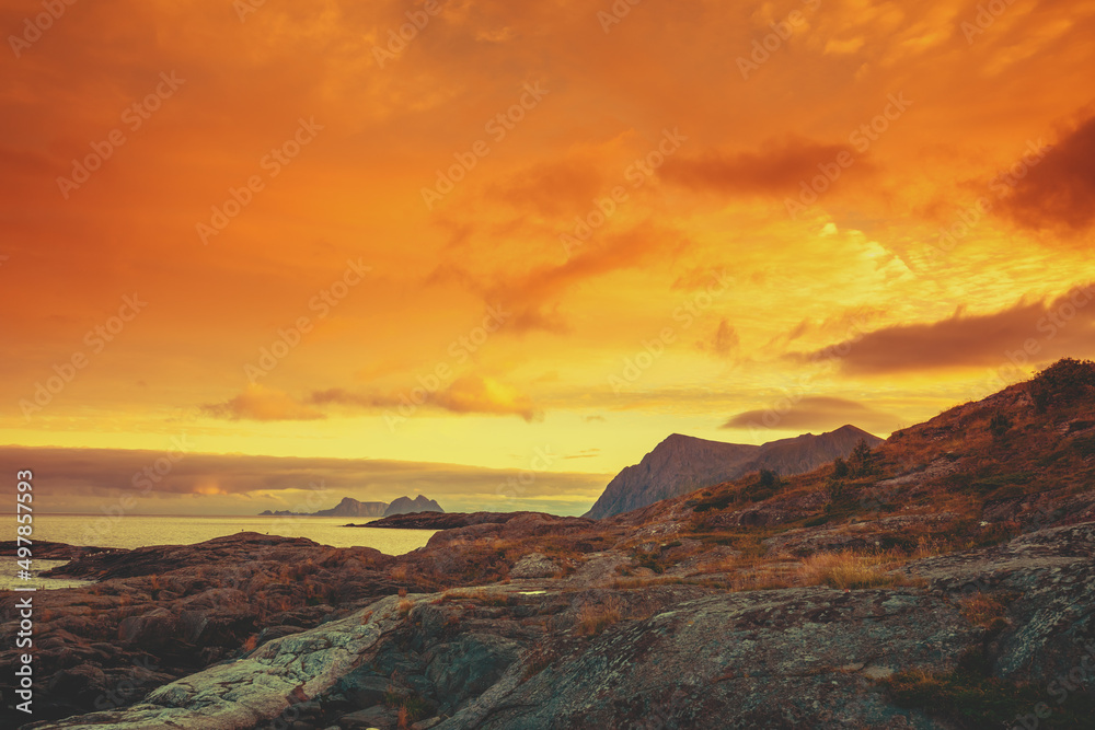 Fototapeta premium Fjord at sunset. Rocky seashore in the evening. Beautiful nature of Norway
