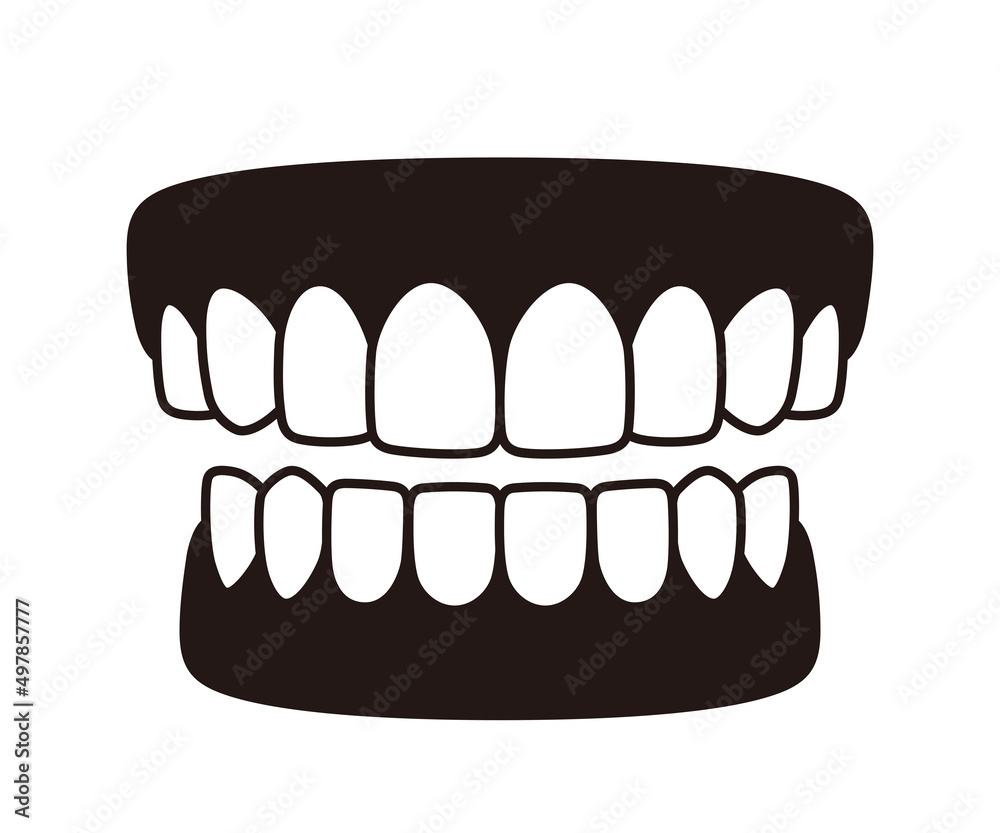Human teeth model icon, vector illustration Human teeth model icon, vector illustration