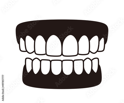 Human teeth model icon, vector illustration