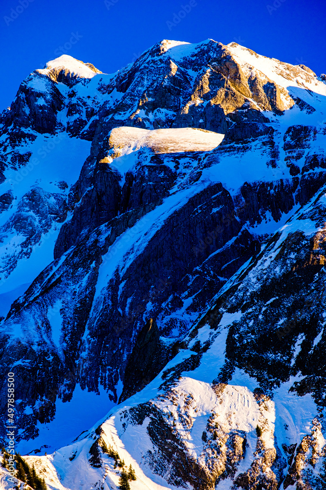 Fotografie Les dents blanches de Morzine
