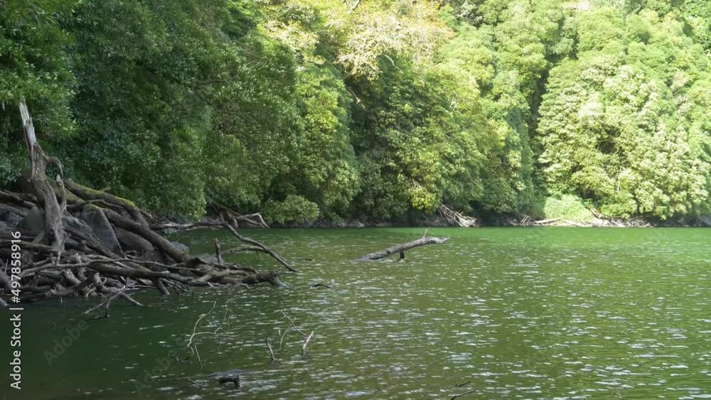 Rural Azores.  Along the banks of the Lagoon Congro with trees