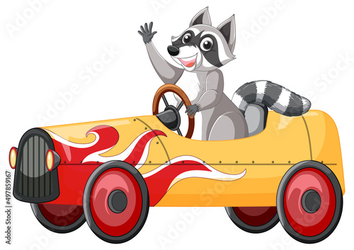 Raccoon driving car cartoon character