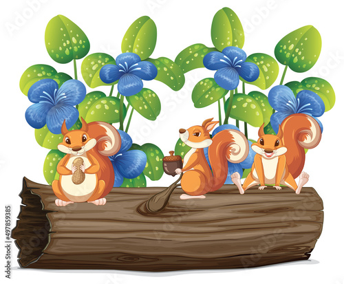 Cute squirrels group animal cartoon