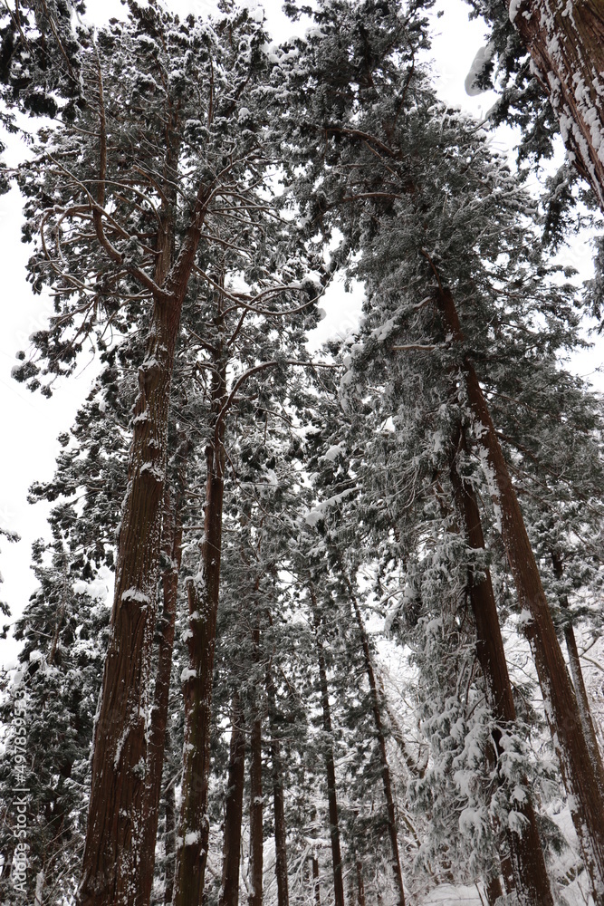 Fototapeta premium 山寺、天台宗、宝珠山立石寺、冬