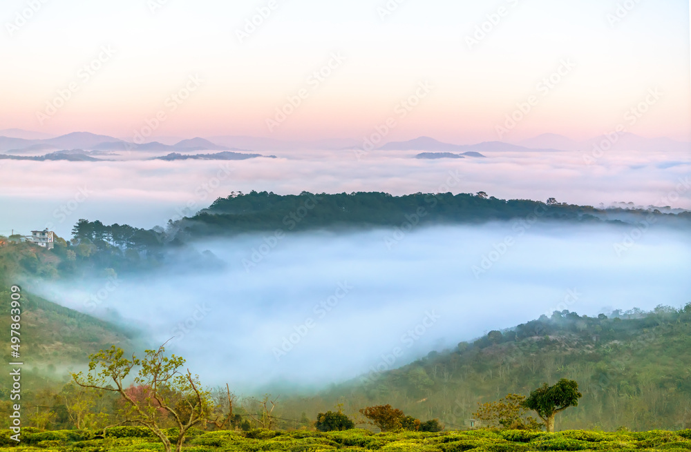 Fototapeta premium New morning scene on top hill looking down with fog covering valley and peaceful sunrise sky background in Da Lat highland, Vietnam