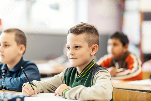 Portrait of a schoolboy following lecture in elementary school.