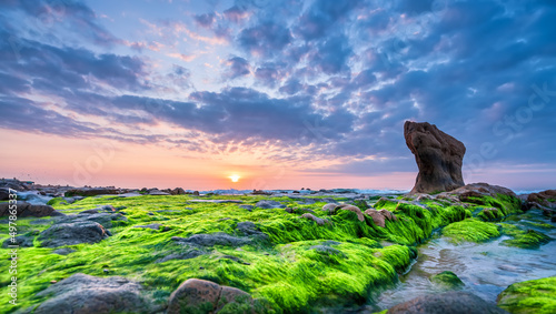 Rocky beach and green moss in sunrise sky at a beautiful beach in central Vietnam photo