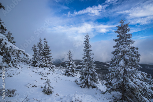 Winter walk. © Katarzyna