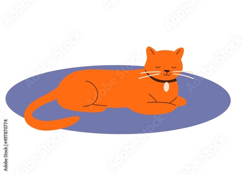 Happy calm cat sleeping, relaxing on mat. Cute home kitty lying, resting. Sleepy feline animal with collar. Quiet serene kitten on rag. Flat illustration isolated on white background
