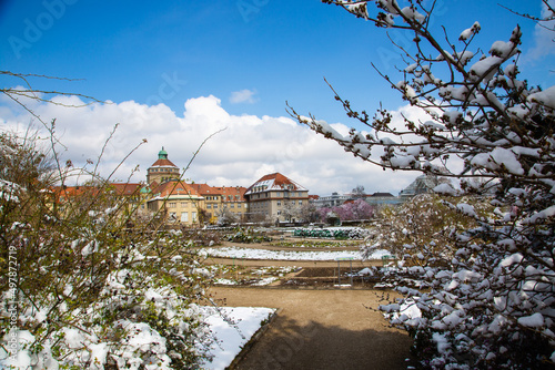 Botanical Garden in Munich in winter