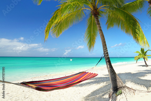 beach with palm trees and colorful hammock photo