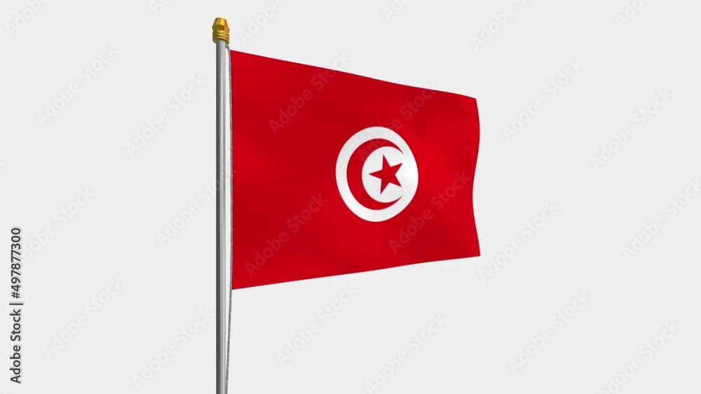 A loop video of the Tunisia flag swaying in the wind from the left perspective. A loop video of the Tunisia flag swaying in the wind from the left perspective.