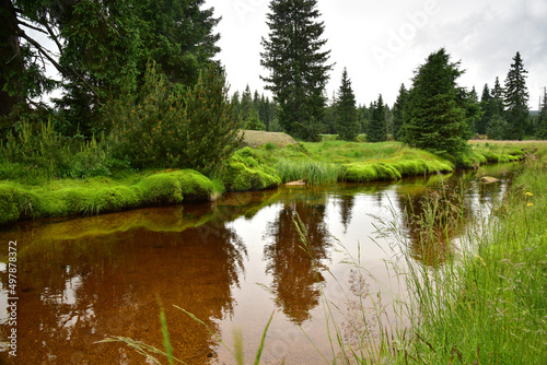 Jizerka brook  Jizera Mountains