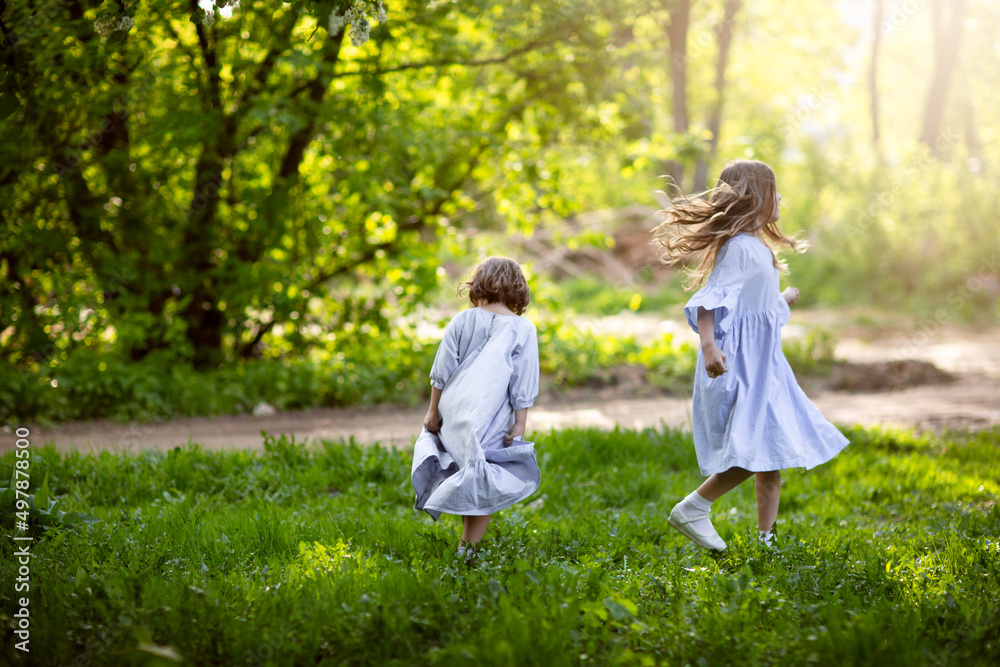 Fototapeta premium Happy funny children are spinning in the meadow in the park, girls in beautiful dresses hold hands and play in the tall grass. Happy childhood and spring.