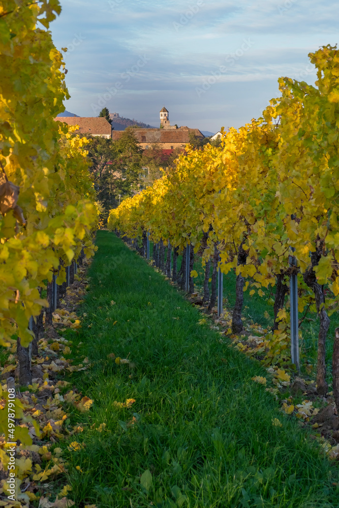Naklejka premium Kloster Heilsbruck im Herbst