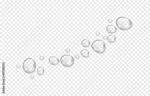 Vector water drops. PNG drops, condensation on the window, on the surface. Realistic drops on an isolated transparent background.