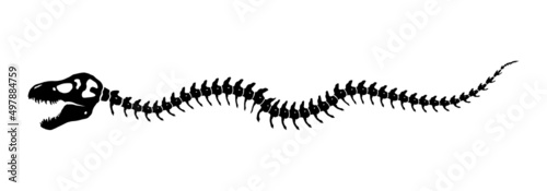 Dinosaur skeleton crawling decoration single element on white