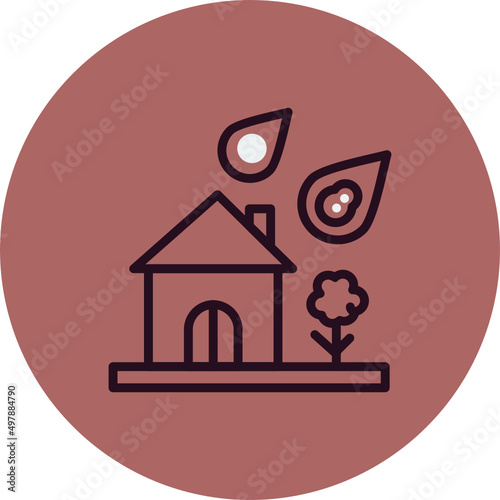Natural Disaster Icon
