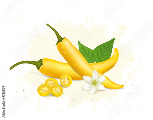 Yellow chilli pepper with mint leaves and chilli flower vector illustration