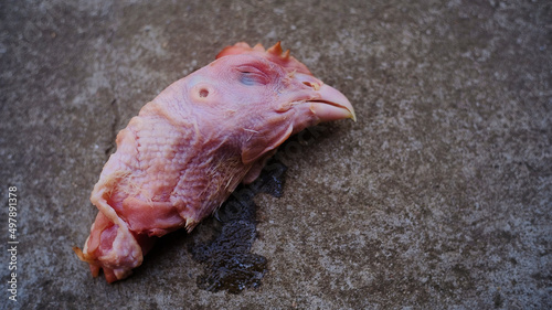 Chicken head lies on the pavement