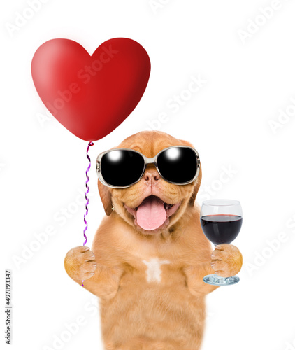 Happy mastiff puppy wearing sunglasses holds heart shaped balloon and  glass of champagne. isolated on white background © Ermolaev Alexandr