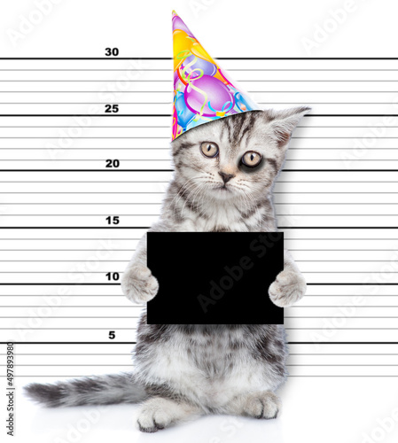 Fototapeta Naklejka Na Ścianę i Meble -  Bad cat with a black eye wearing party cap holds black board is caught committing a crime