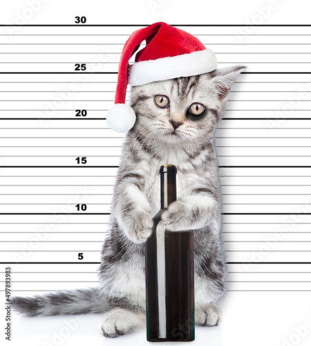 Bad cat wearing santa hat holds bottle of wine is caught committing a crime