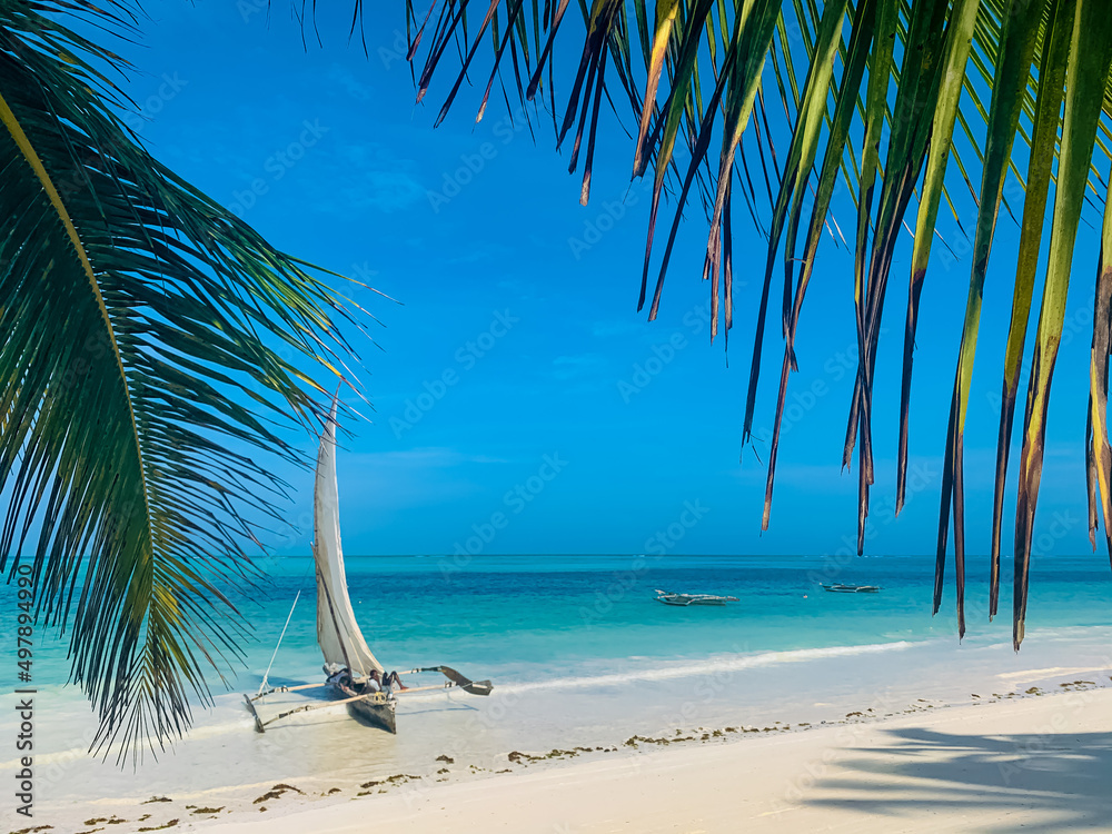Zanzibar beach - obrazy, fototapety, plakaty 