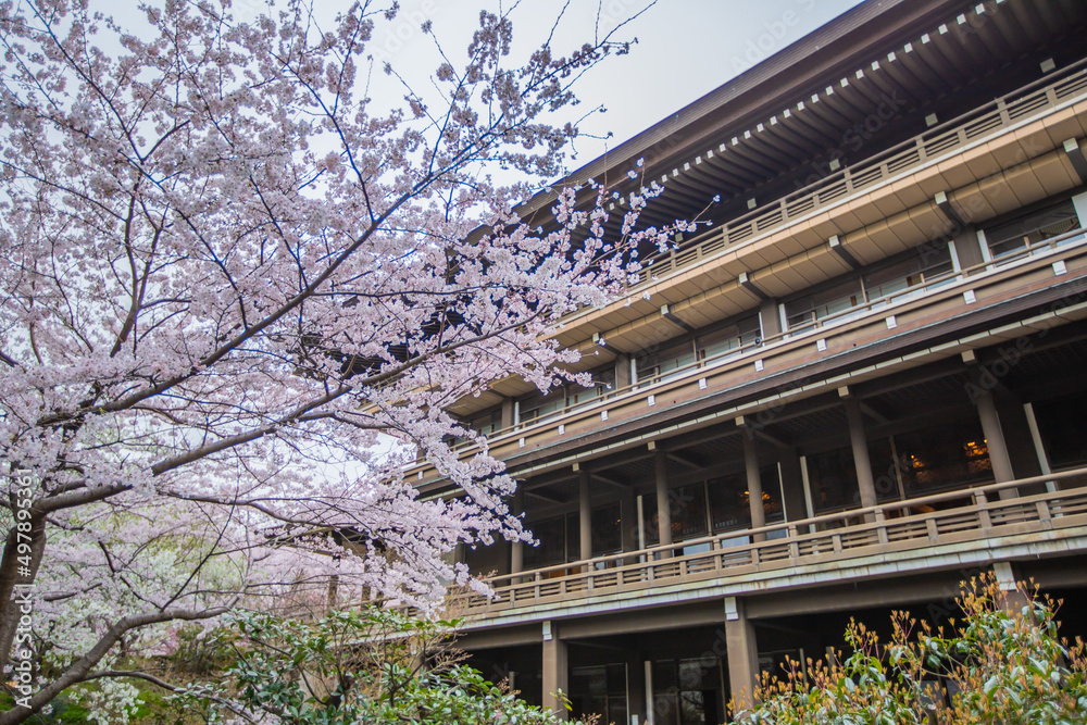 總持寺　春の風景