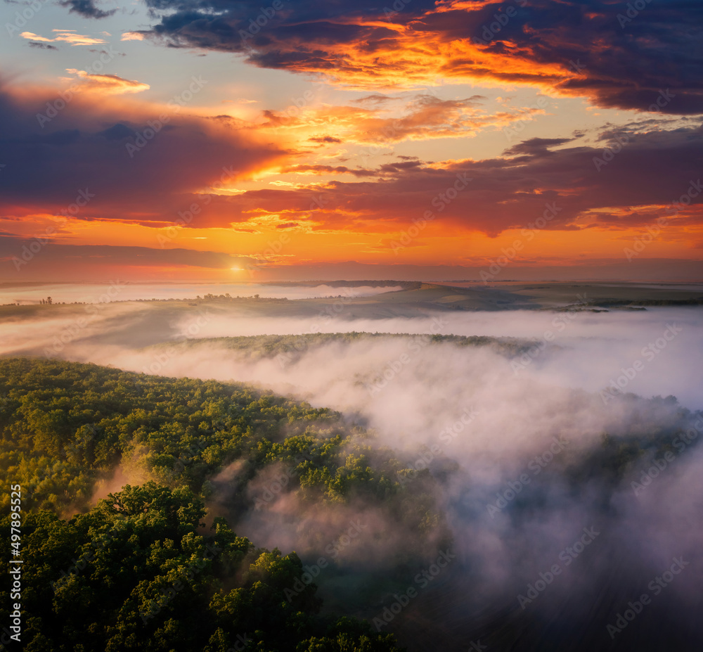 Breathtaking misty view of tree tops from a bird's eye view.