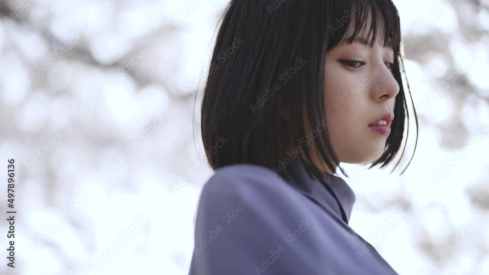 満開の桜の中を散策する女性 満開の桜の中を散策する女性