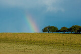 Pampas countryside with rainbow, La Pampa Province, Argentina.