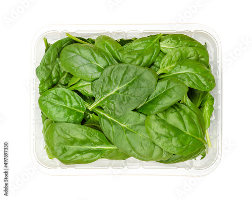 Young spinach leaves in a plastic container from above. Fresh picked and raw Spinacia oleracea, a green leaf vegetable with high oxalate content and very rich on vitamin K, can be eaten raw or cooked.