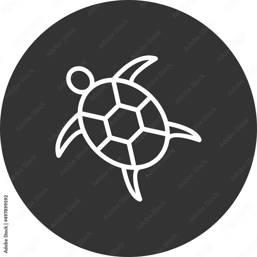 Obraz premium Turtle Icon