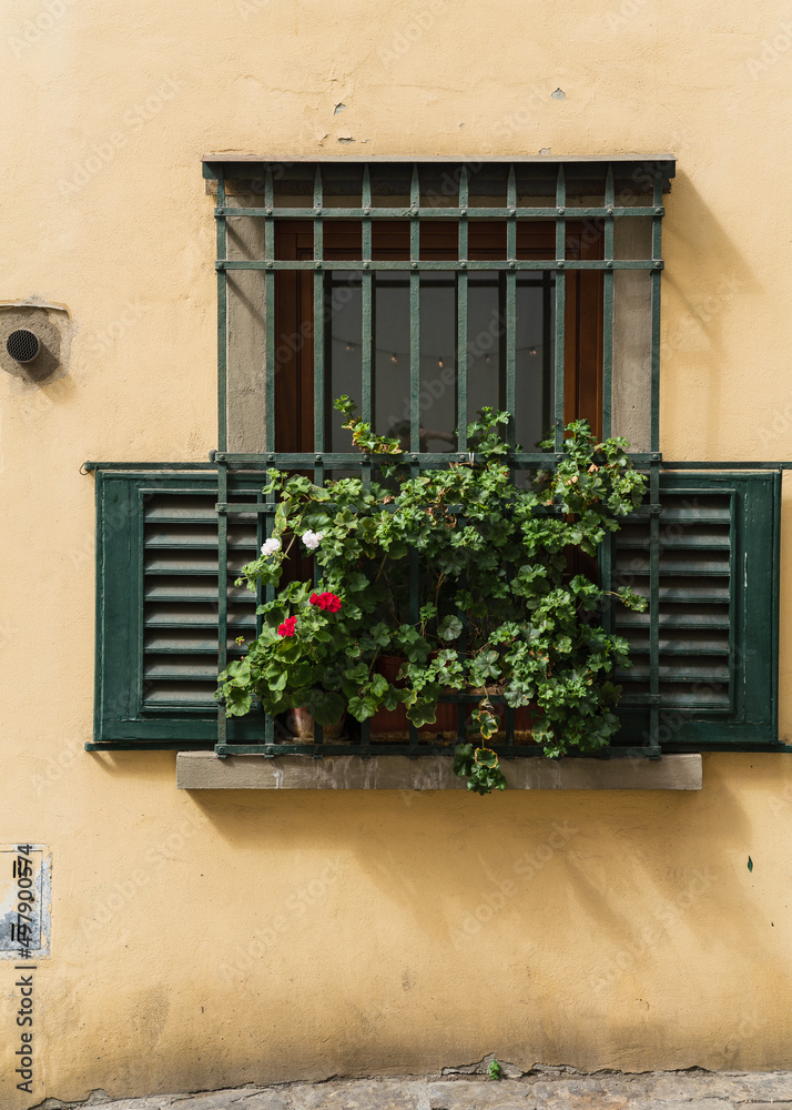 window with flowers in pots in Italy 