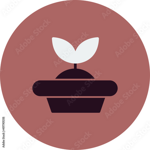 Seed Starter Icon