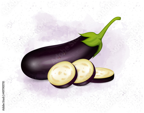 Eggplant vegetable with eggplant slices vector illustration isolated on white background