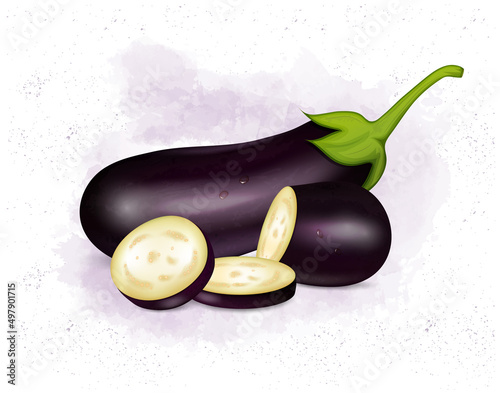 Eggplant vector illustration with vegetable slices