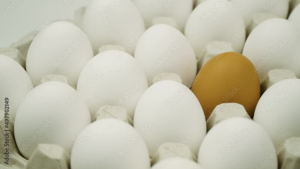 Large tray of eggs is spinning. Chicken white fresh raw eggs and alone brown egg Large tray of eggs is spinning. Chicken white fresh raw eggs and alone brown egg