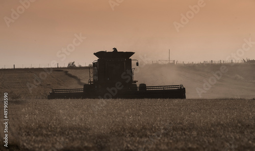 Harvester machine, harvesting in the Argentine countryside, Buenos Aires province, Argentina.