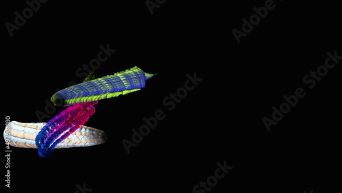 Colorful abstract graphic worms buzzing and trundling over background, 3d animation with computer photo