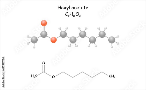 Stylized molecule model/structural formula of hexyl acetate. A component of apple and banana aroma.