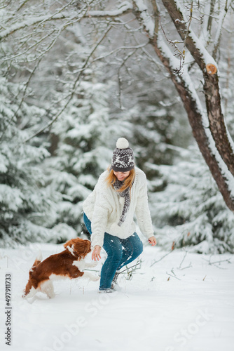 A pretty middle aged woman in yellow hat is playing with her pet dogs in the park in snowy weather. Cavalier king Charles spaniel breeder with best puppies. lifestyle