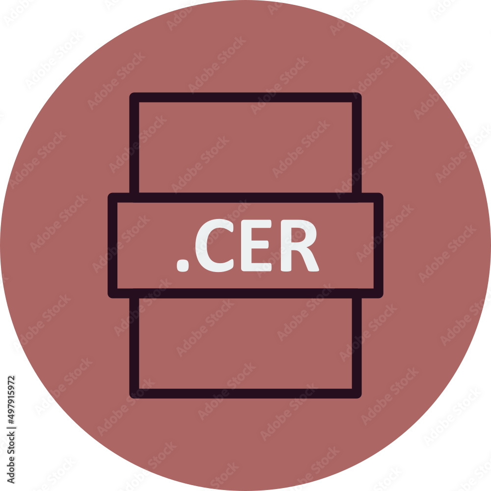 .CER Icon .CER Icon