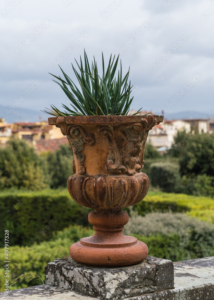 old Italian vase with green plants and garden in the background old Italian vase with green plants and garden in the background